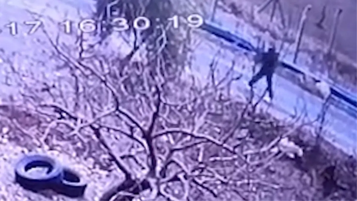 Birecik’te Bir Köpeğe Tüfekle Müdahale Edildi