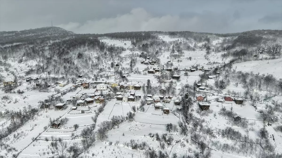 Sinop Çangal Dağı'nda Bembeyaz Kış Manzaraları