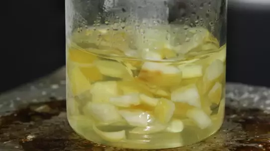 Ağaç Kavunu Kabuklarından Geliştirilen Yenilikçi Hidrojel: İlaç Taşıma ve Su Emme Potansiyeli