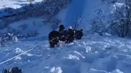 Tunceli'de kar altında elektrik hatları