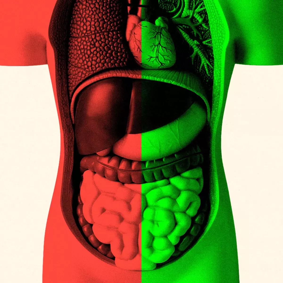 Bağırsak Mikrobiyomu ve Yaşlanma: Sağlıklı Yaşamın Anahtarı