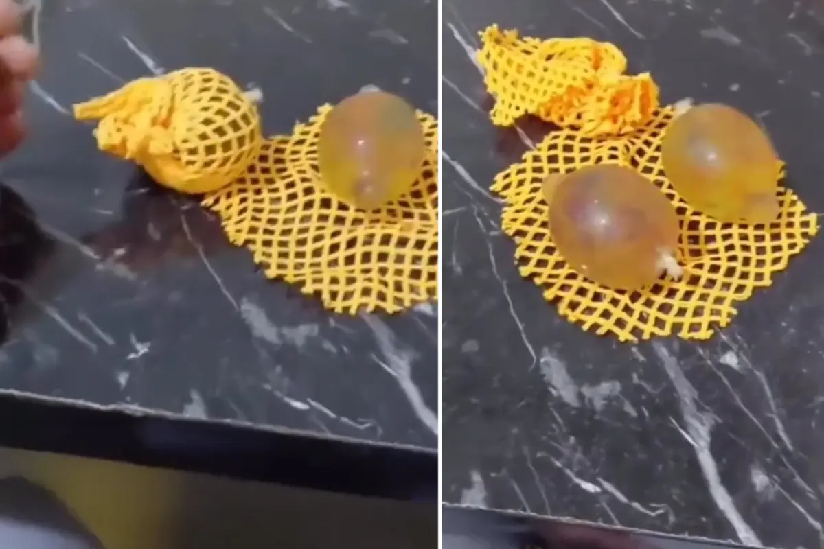 Eskişehir'de Baba, Çocuğuna Aldığı Oyuncaktan Prezervatif Çıktığını Belirtti