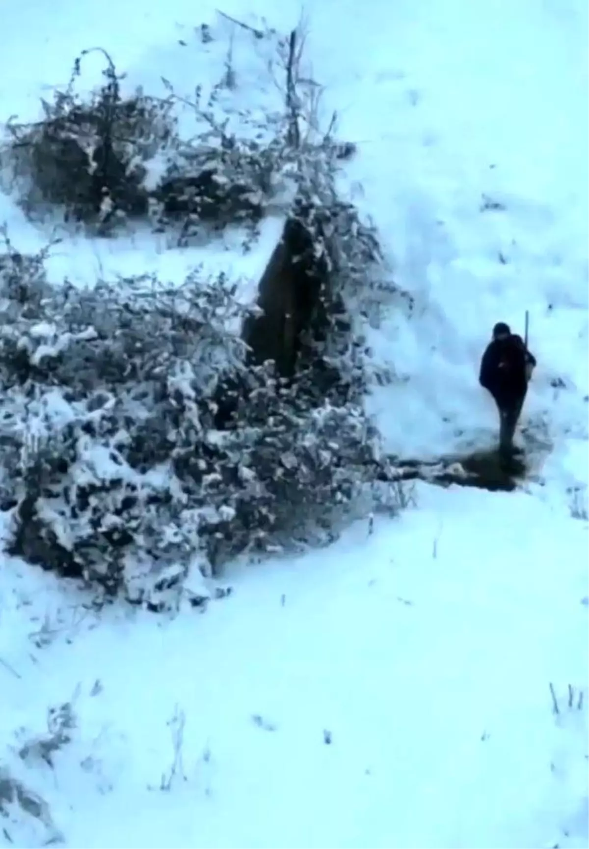 Düzce'de Termal Dronla Kaçak Avcıların Sığınağı Yok Edildi