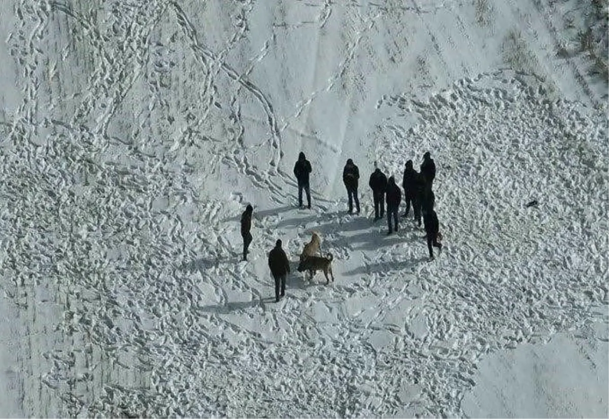 Nevşehir Avanos’ta Köpek Dövüşüne Jandarma Operasyonu: 10 Şahıs Tutuklandı