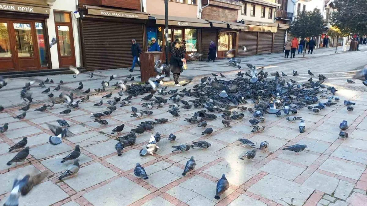Edirne’de Zeliha Hider, Soğuk Günlerde Sokak Kuş ve Hayvanlarını Besliyor