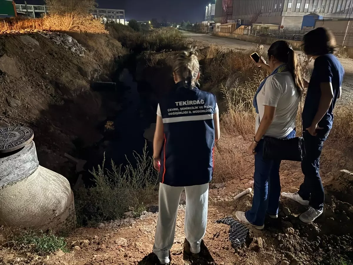 Tekirdağ’da Hava Kirliliği Denetimi Sonucu 66 Sanayi Tesisine 39 Milyon TL Ceza