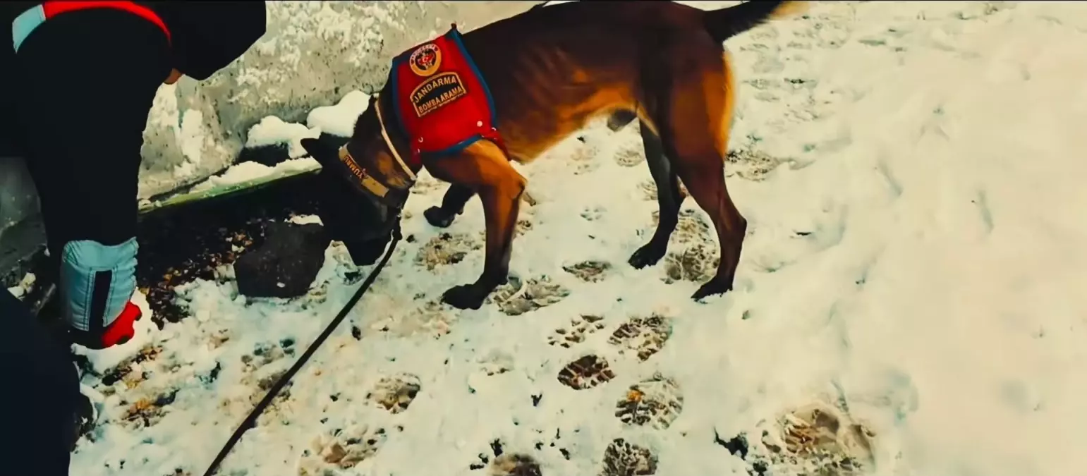 Diyarbakır’da 2015’te Ölen Veysi Çevik Cinayeti İçin Altı Şüpheli Tutuklandı
