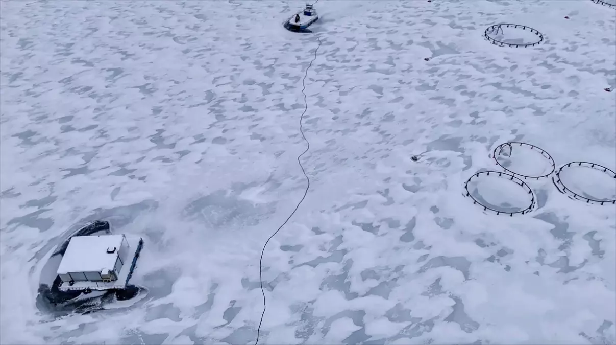 Adıyaman’da Çat Barajı Buzla Kaplandı: Soğuk Havanın Yaratıcı Manzarası