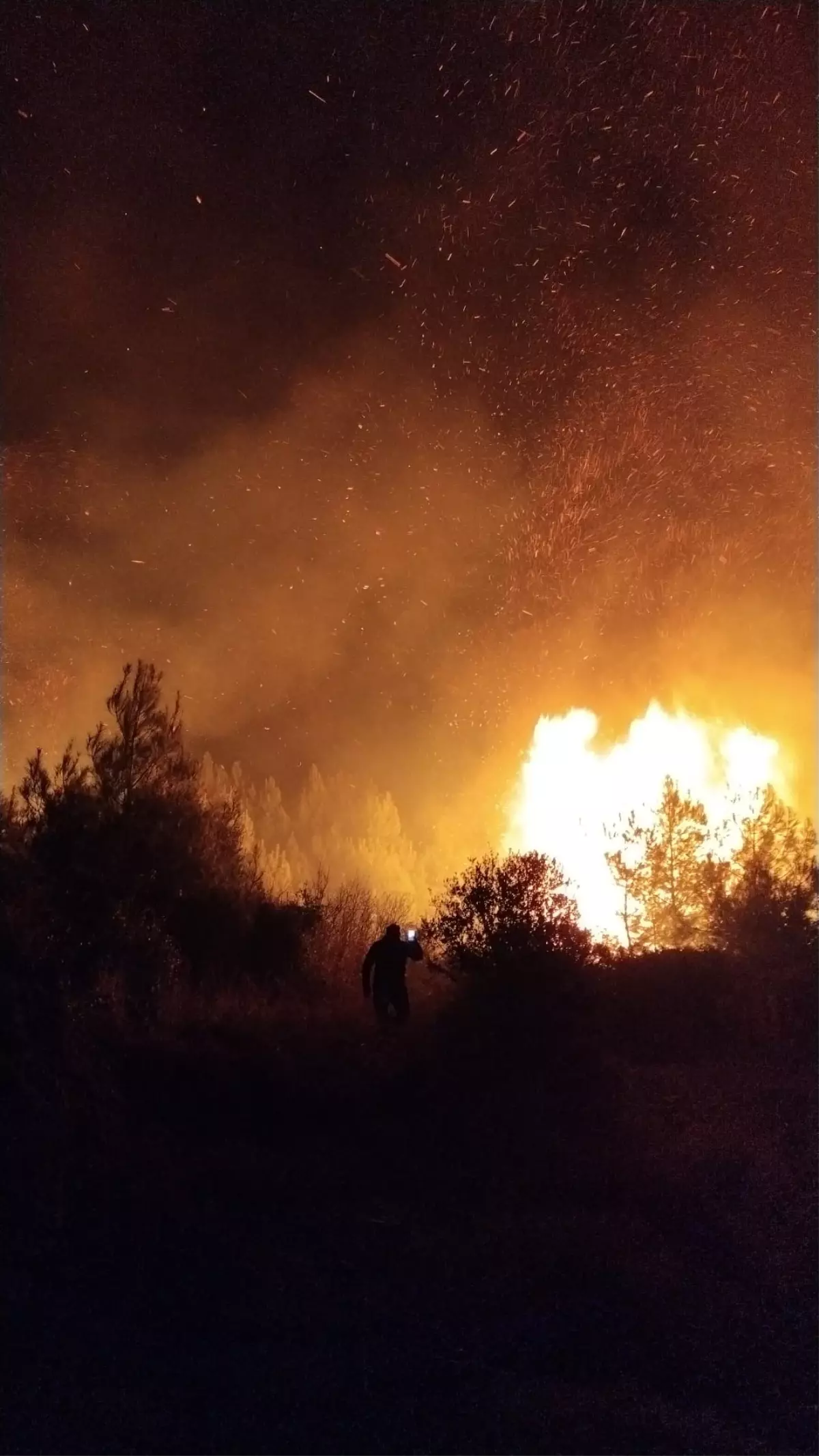 Antalya’nın Serik İlçesinde Orman Yangını Hızla Yayılıyor