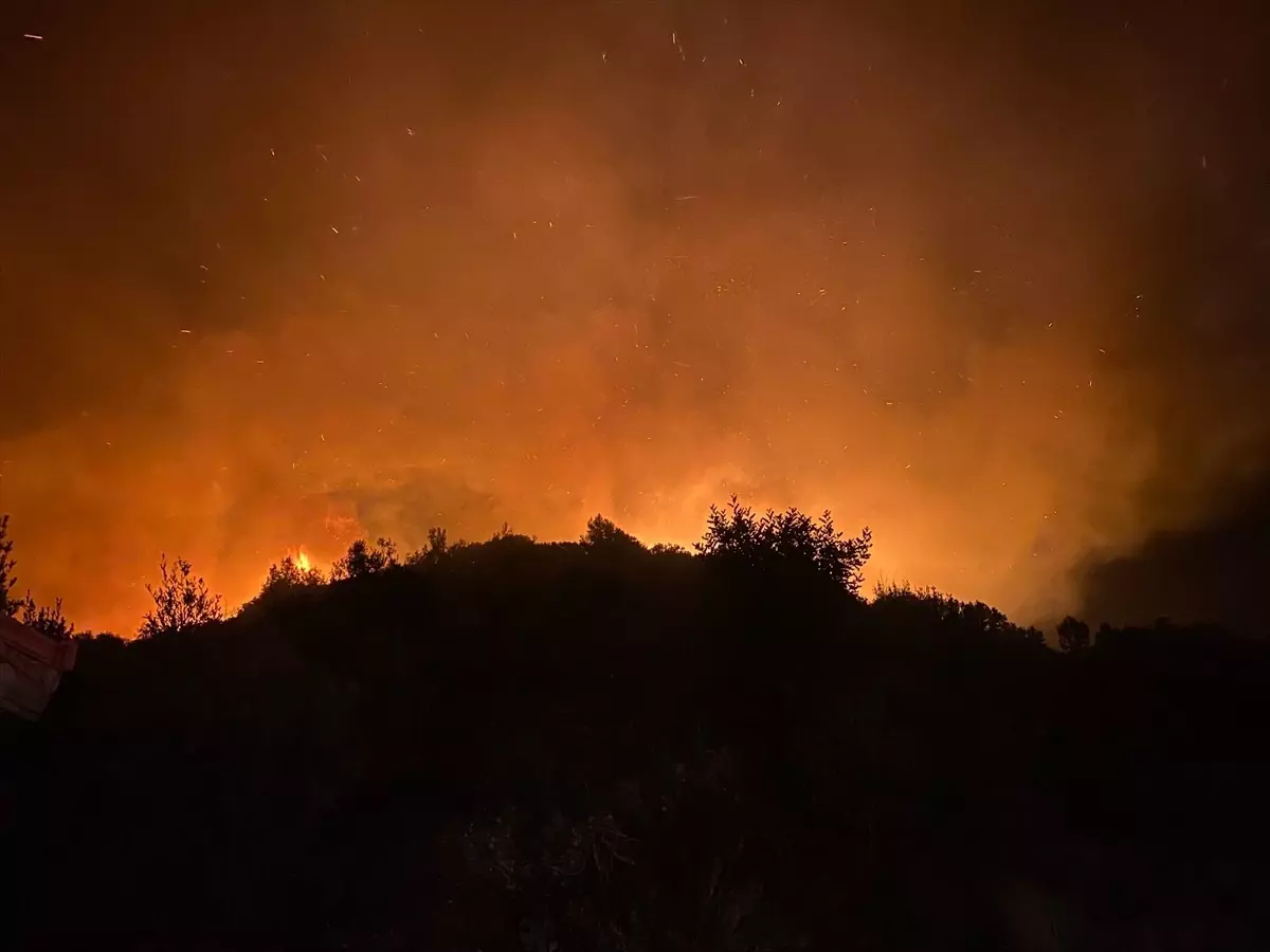 Serik'te Orman Yangınına Hızlı Müdahale: İtfaiye ve Jandarma Ekipleri Çalışmalara Başladı