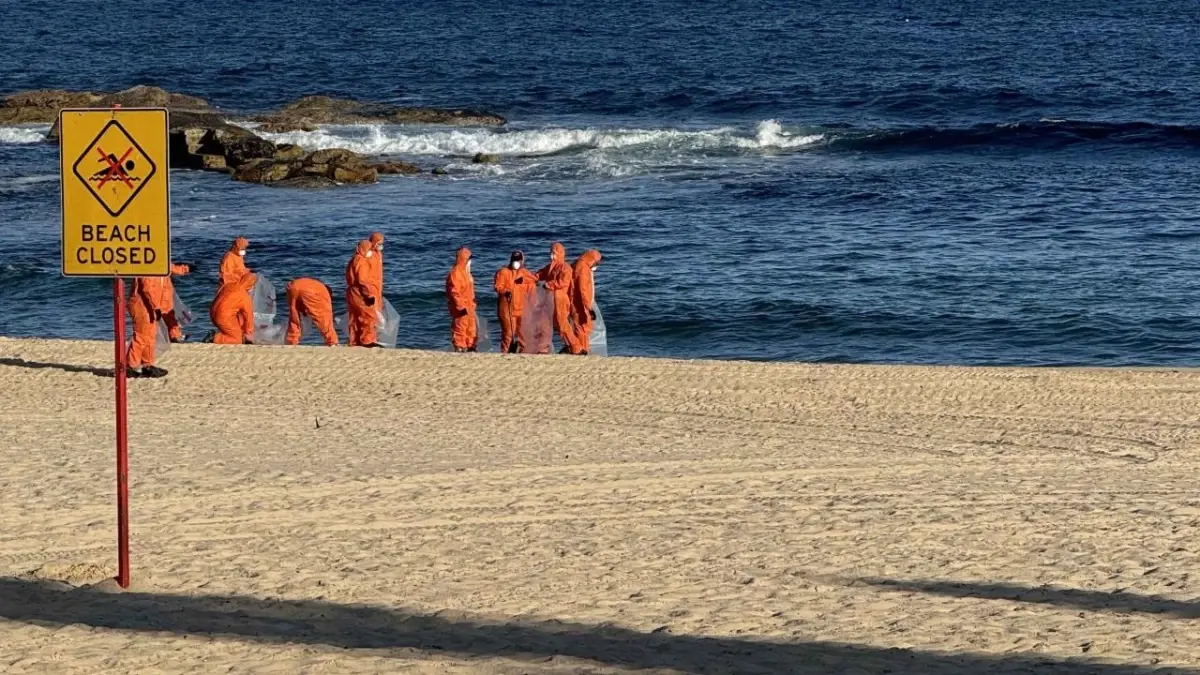 Sydney Sahilinde Köpek Balığı Saldırısı: İki Çocuk Etkilendi