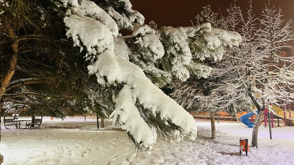 Bingöl’de Şiddetli Kar Yağışıyla 280 Köy Yolu Kapandı