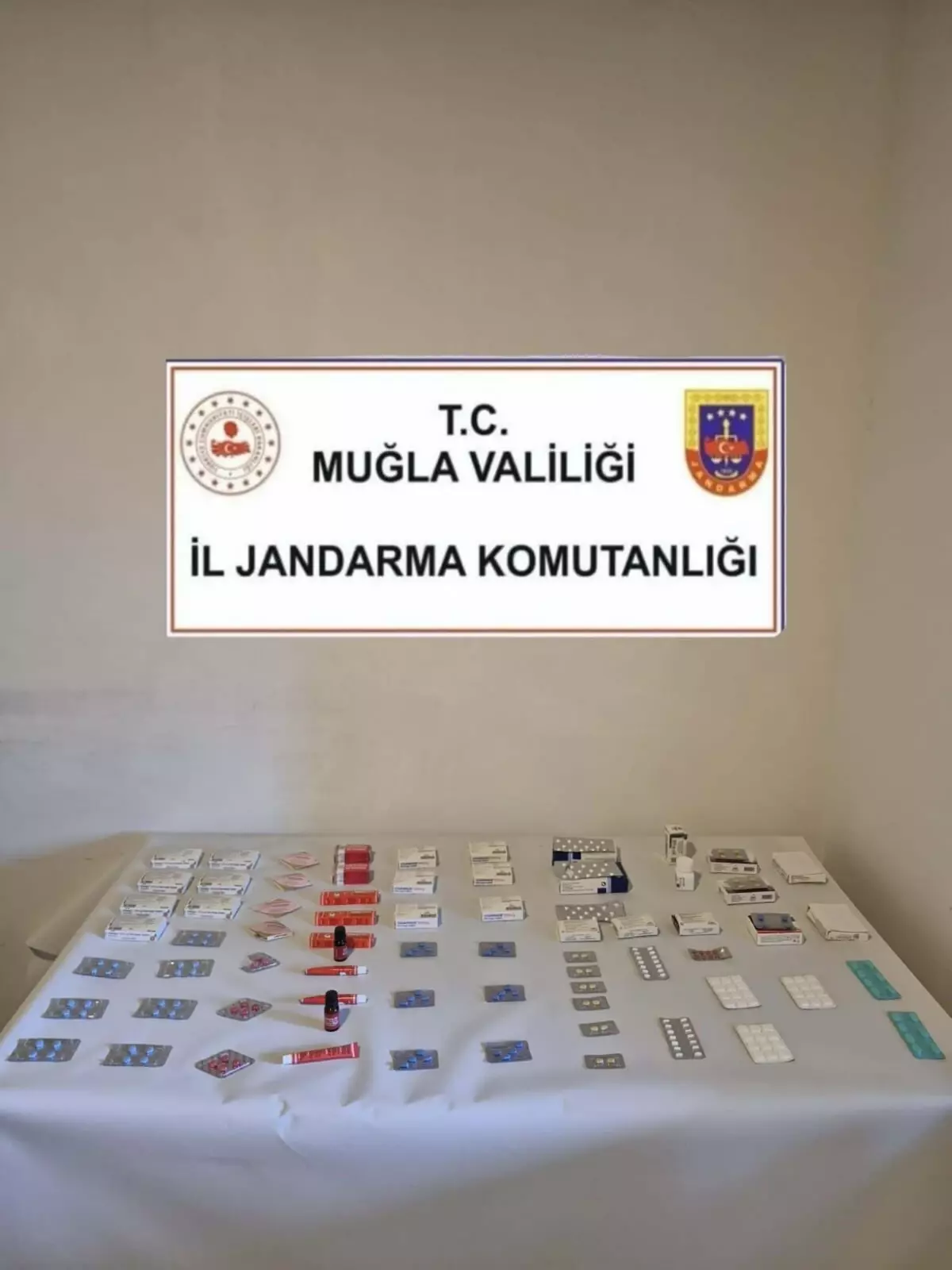 Muğla'da Jandarma Operasyonu: Uyuşturucu ve Cinsel İçerikli Haplar Ele Geçirildi