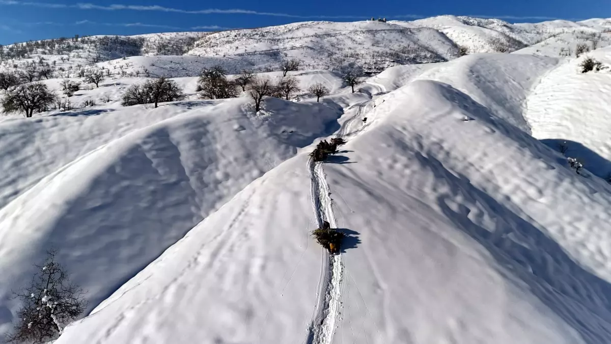 Derecik’te Soğuk Günlerde Besiciler Kızakla Ot Taşıyor