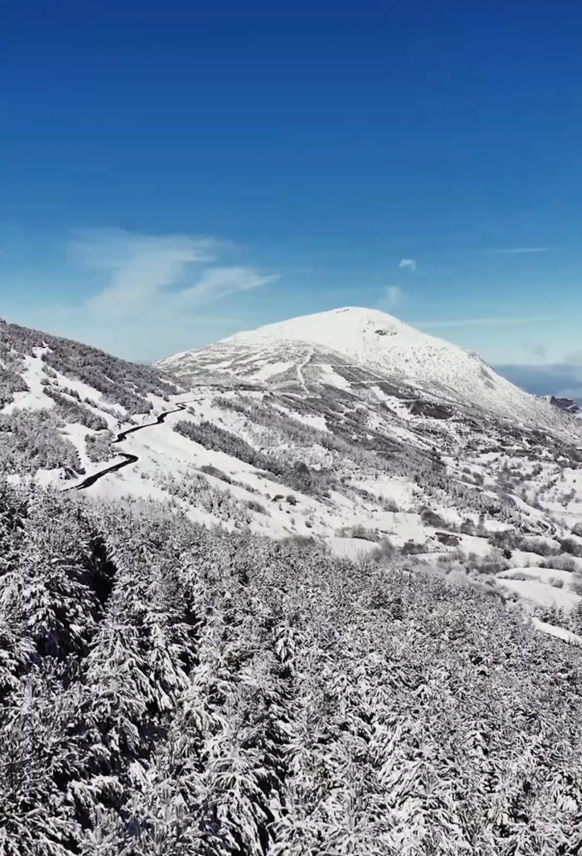 İzmir Ödemiş'te Ormanlar Beyaz Bir Örtüyle Buluştu