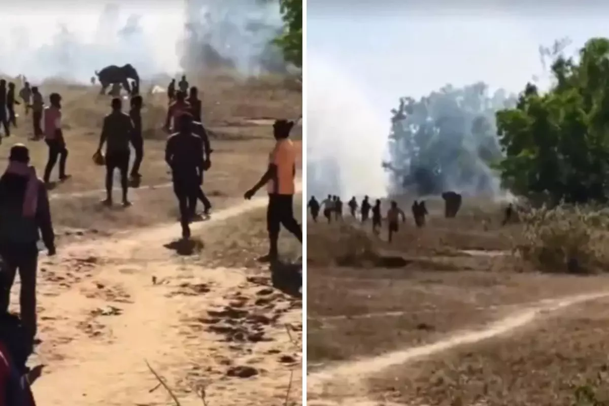 Hindistan’da Kontrolden Çıkan Fil 22 Kişiyi Öldürdü, Köylüler Çatı ve Ağaçlarda Uyuyor