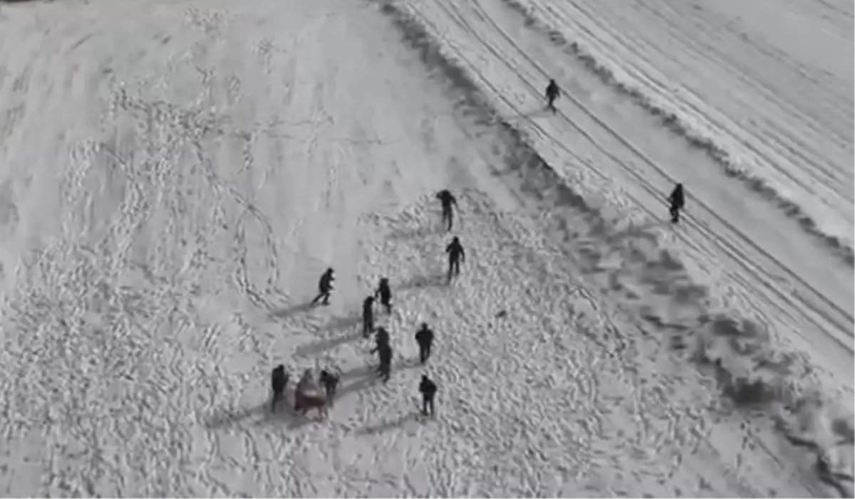 Avanos'ta Köpek Dövüşü Yapan 10 Kişi Jandarma Operasyonu ile Yakalandı