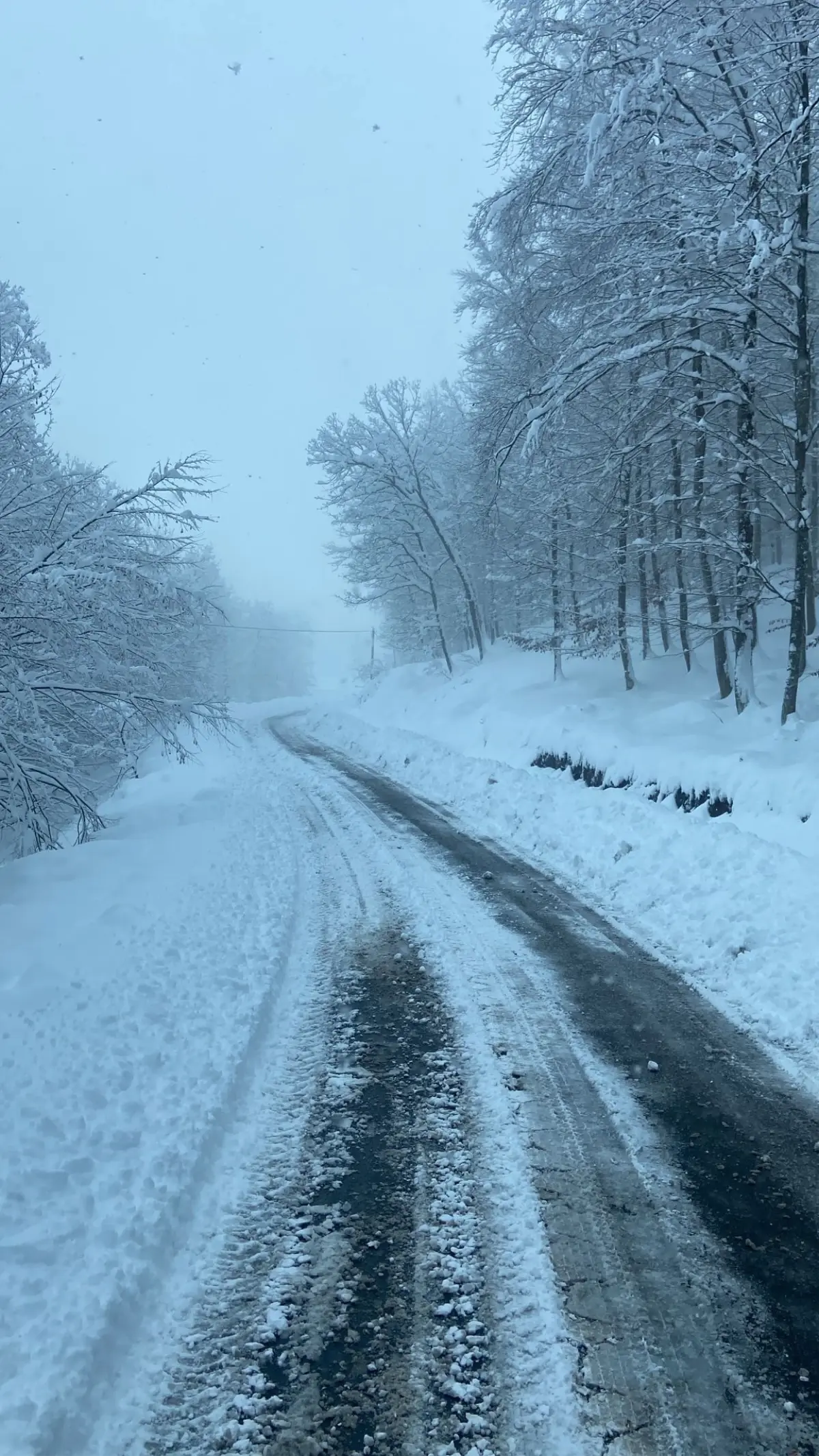 Zonguldak’ta Kar Nedeniyle 185 Köy Yolu Geçici Olarak Kapatıldı