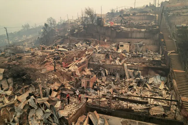 Alevler içinde ormanlık alan