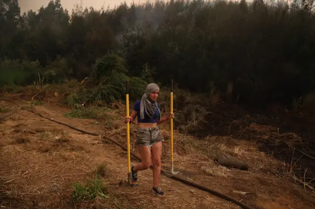 Tahliye edilen aileler