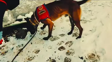 Jandarma operasyonu sırasında çekilen fotoğraf