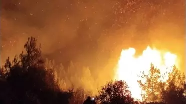 Serik orman yangını anlık görüntüsü