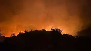 Yangın bölgesi ve müdahale ekipleri