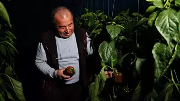 Seraların dijital izleme ekranı