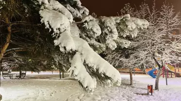 Bingöl’de karla kapalı köy yolları