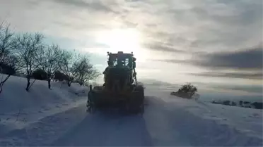 Karla kaplı köy yolu