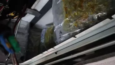 TIR içinde bulunan 144 kilo esrar