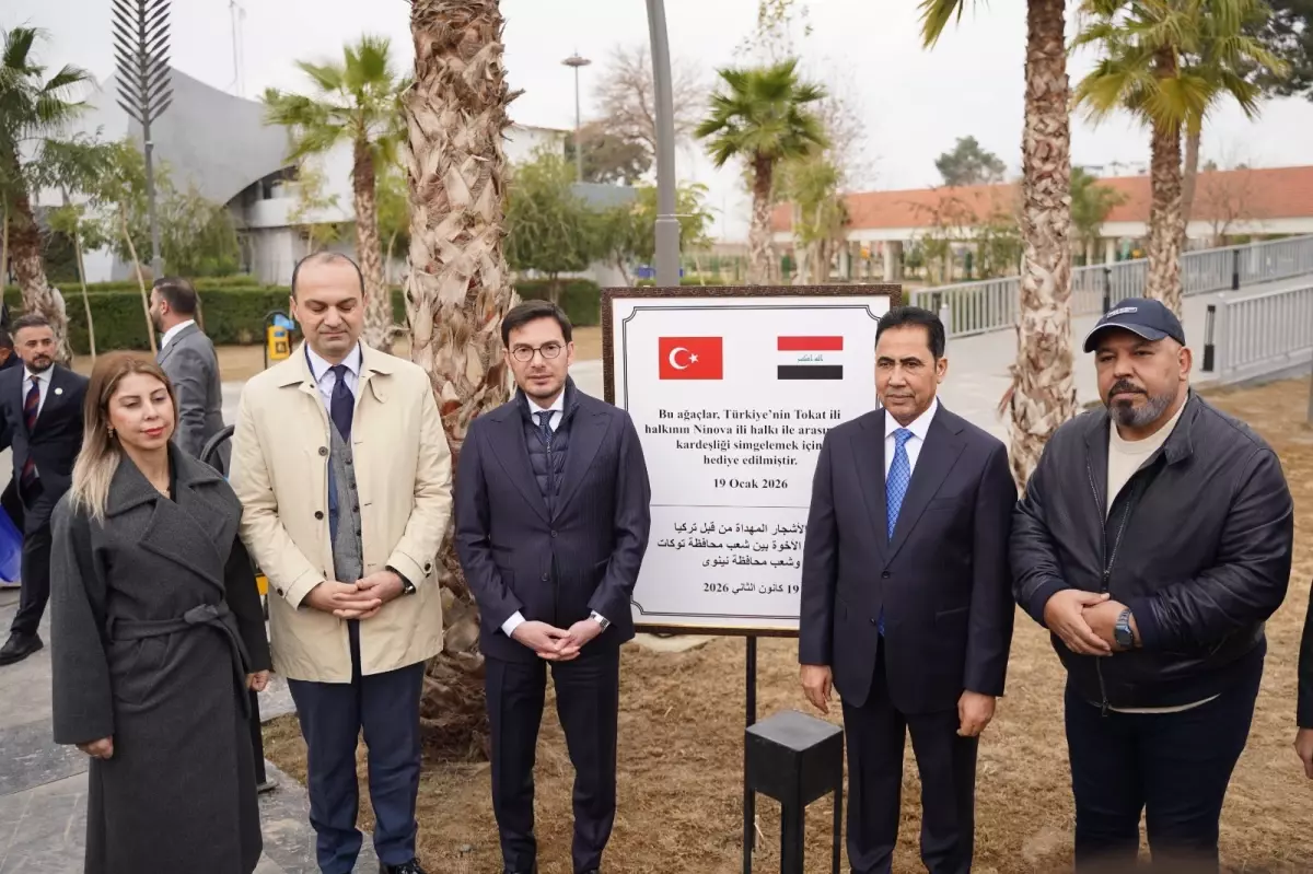 Tokat ve Musul Arasında Kardeş Şehir Anlaşmasıyla 20 Bin Fidanlık Ormanı Hayata Geçti