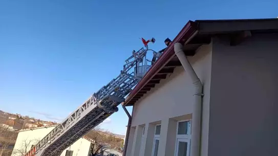 İtfaiye ekibi kediyi güvenli bir şekilde indiriyor