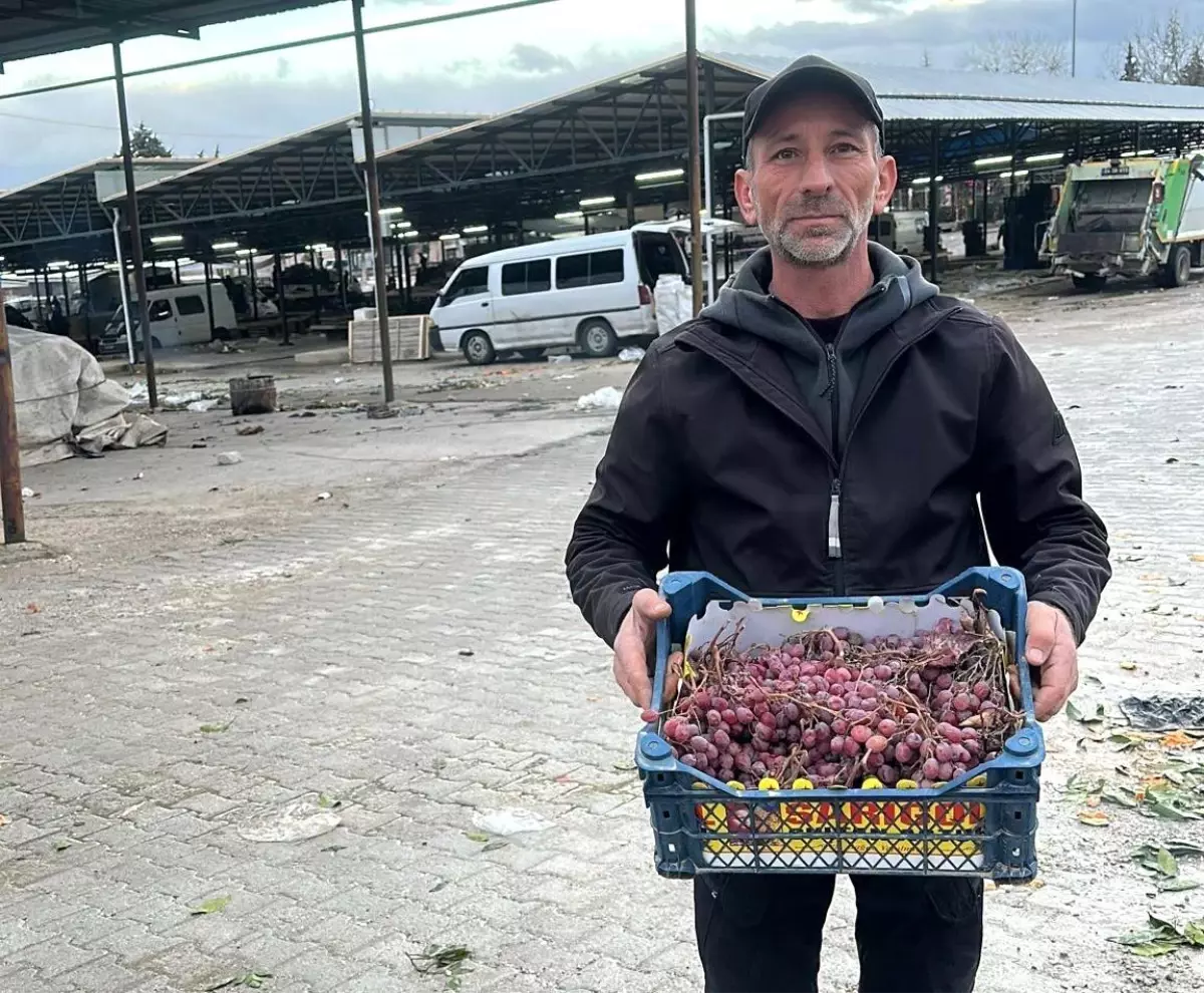 Musa Topdemir, 2026’da Taze Üzüm Hasadına Hazırlandı