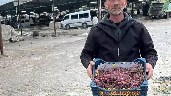 Musa Topdemir, 2026’da Taze Üzüm Hasadına Hazırlandı