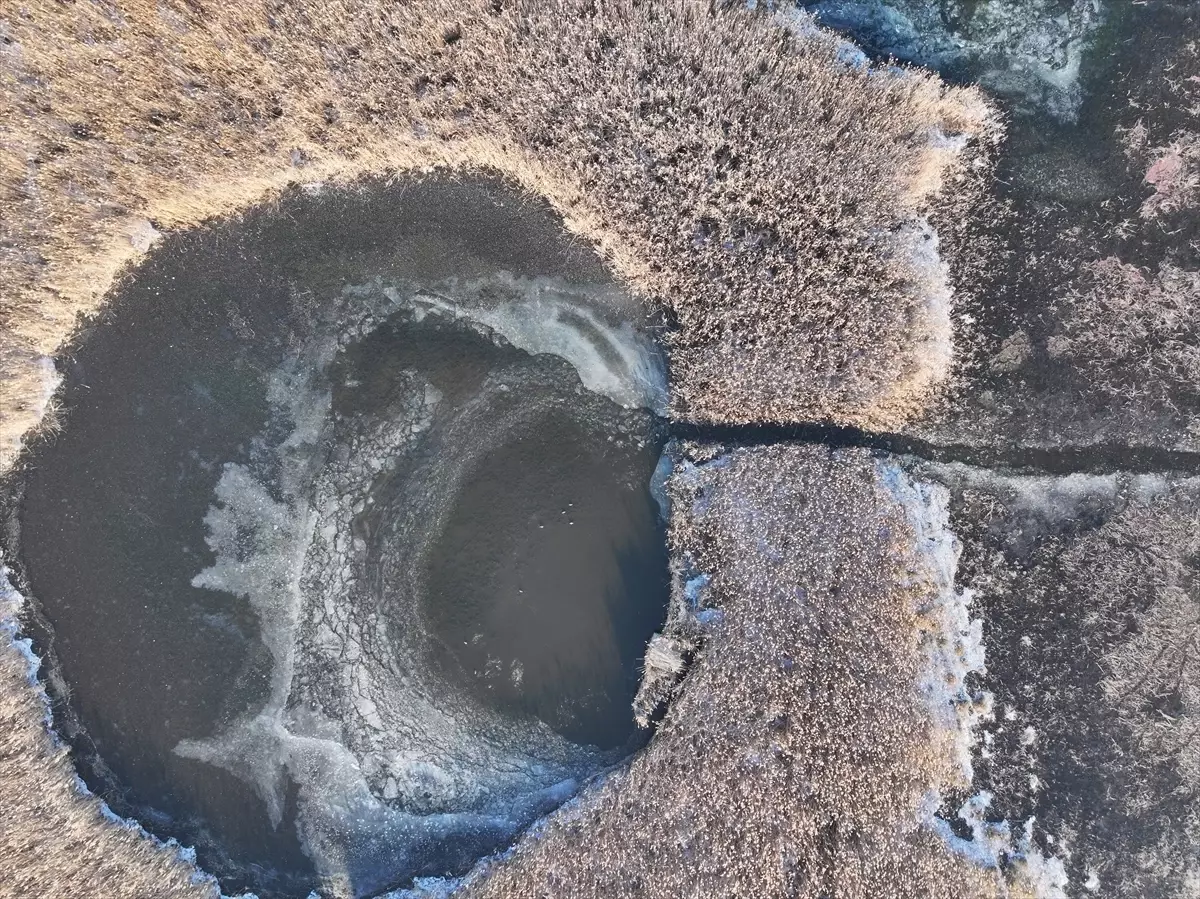 Edirne'de Göl Baba Sulak Alanı Yoğun Buz Tabakasıyla Kaplandı