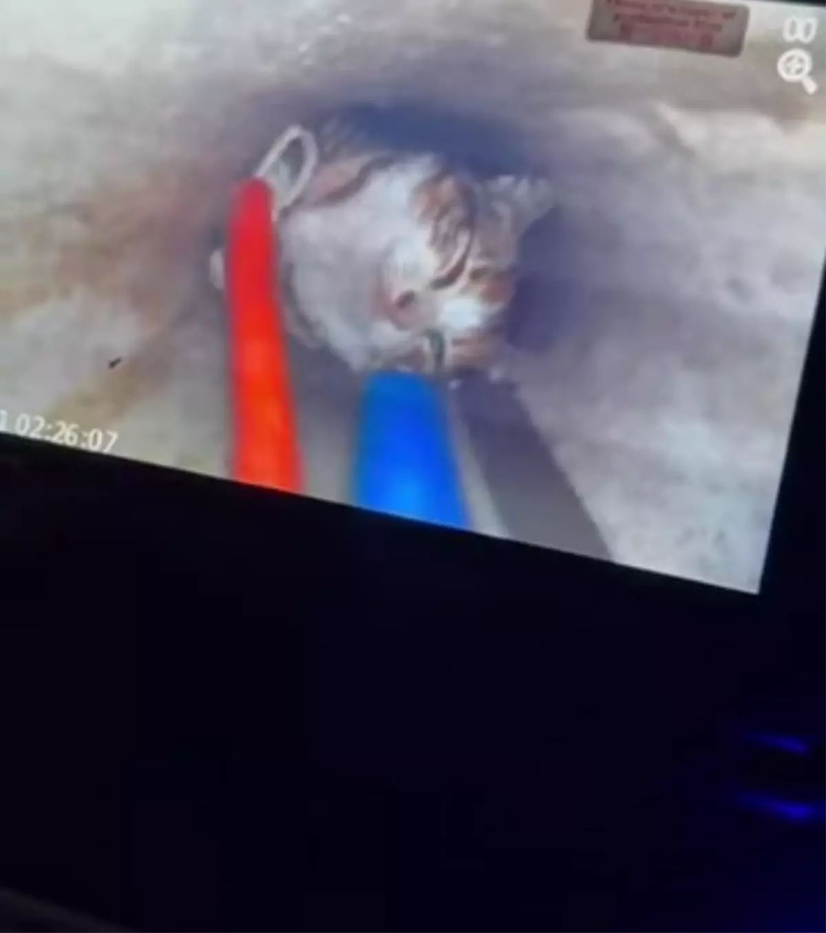 Ayvalık'ta 18 Metre Derinlikteki Kuyudan Yavru Kedi Hayata Döndü