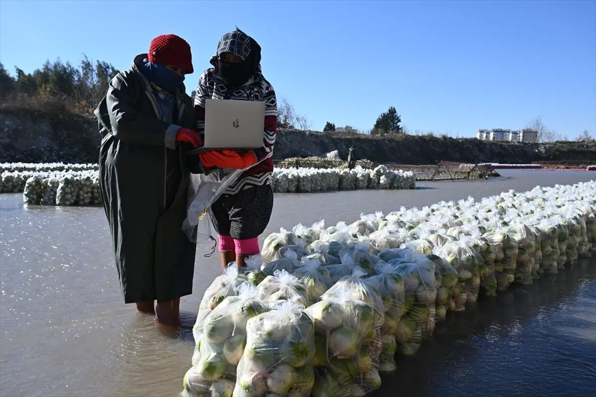 Kadirli İşçileri AA’nın Yılın Kareleri Seçimine Katıldı