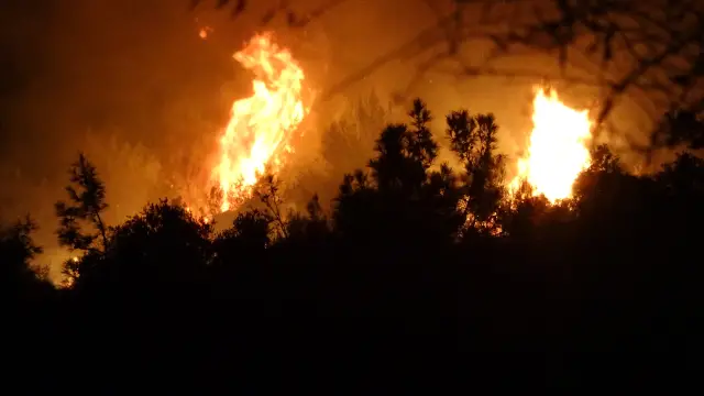 Yangın bölgesindeki ormanlık alanda itfaiye ekipleri