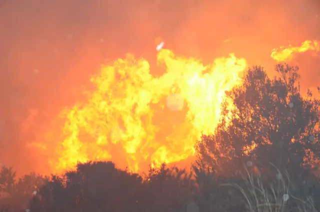 Yangın sonrası kontrol edilen ormanlık bölge