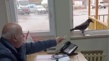 Kargaya ekmek uzatan belediye başkanı