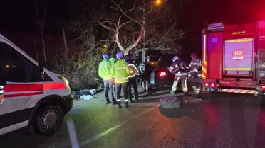 Kaza sonrası araç ve hasarlı ağaç