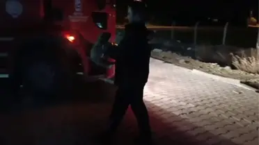 Kurtarılan yavru köpek