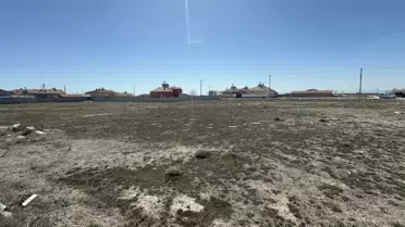 Konya’da köpek saldırısı sonrası polis ve belediye yetkilileri