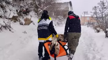 Karlı yolda ambulans