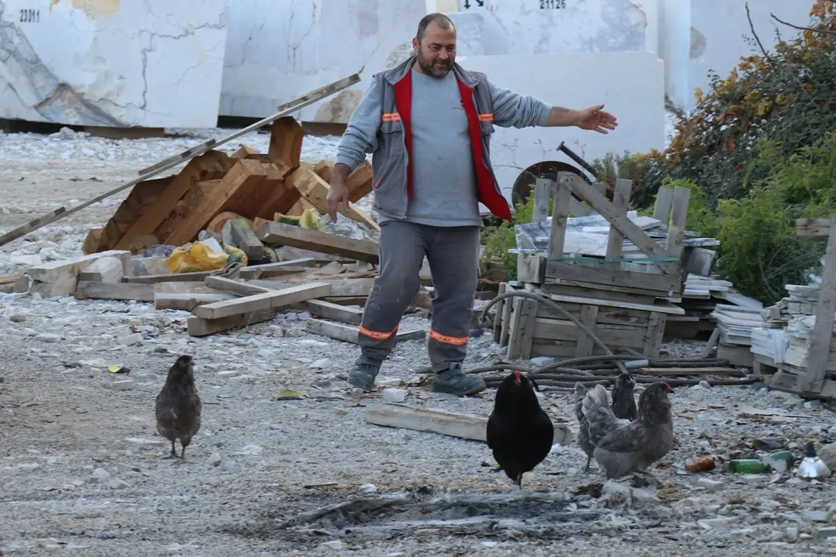 Denizli'li Mermer İşçisi Servis Birsin, Egzotik Tavuk Yetiştiriciliğini Sosyal Medyada Tanıttı