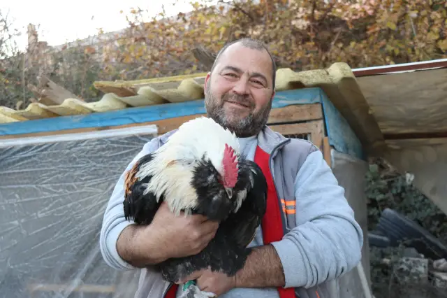 Sosyal medyada paylaşılan tavuk fotoğrafı