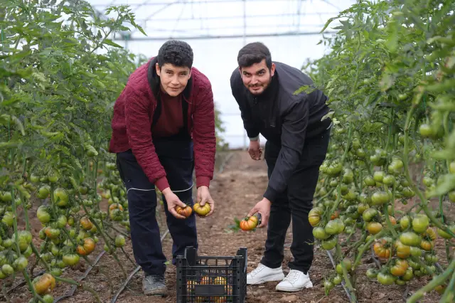 Seranın iç yapısı ve ekipmanları