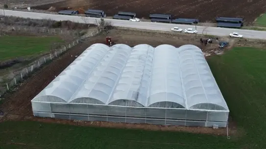 İmamoğlu’da Genç Çiftçiler, Asgari Ücreti Bırakıp Serada 400 Bin TL Kazanıyor