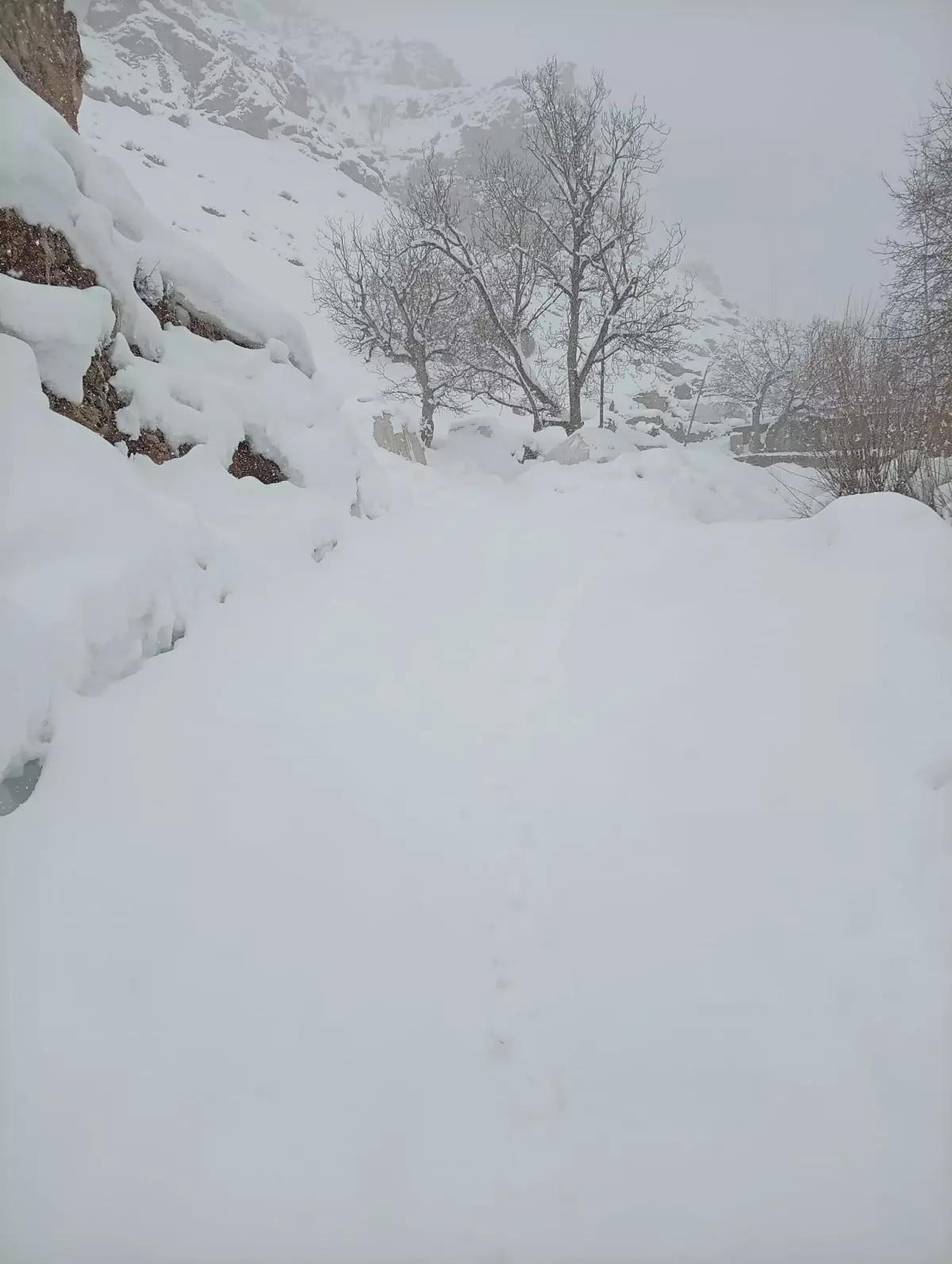 Vanda, 2 Metrelik Karın Altında Tünel Kazarak Hayvanlarına Ulaştı